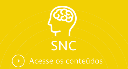 sncsecuidav2_440 px width-01